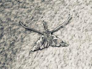 Silver Moth Pendant